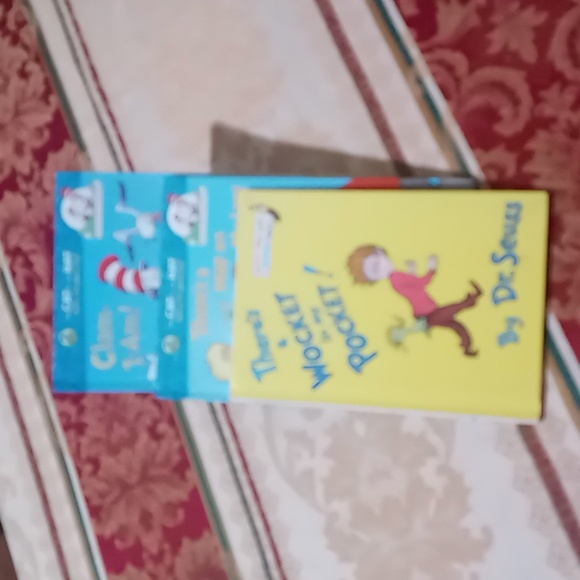 THE CAT IN THE HAT PRESCHOOLERS READING BOOKS (3) - Picture 5 of 6